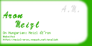 aron meizl business card